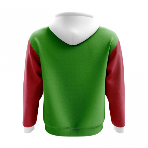 Wales Concept Country Football Hoody (Green)