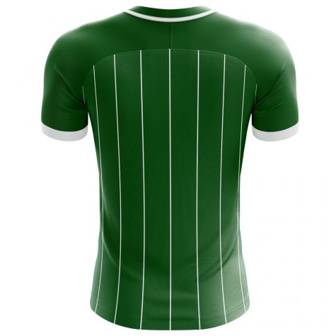 Northern Ireland 2018-2019 Home Concept Shirt - Kids (Long Sleeve)