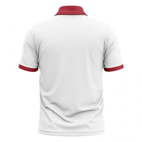 2023-2024 England Cricket Concept Shirt (World Champions 19)