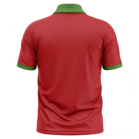 Zimbabwe Cricket 2019-2020 Concept Shirt - Little Boys