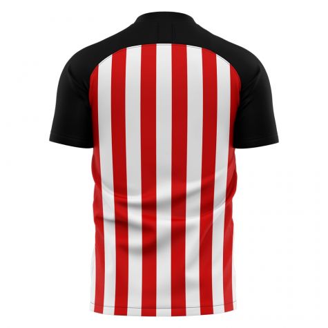 2024-2025 Sunderland Home Concept Football Shirt (Cattermole 6)