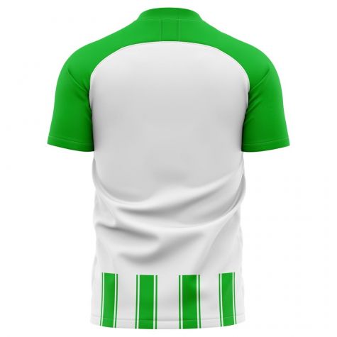 Fc Gronigen 2019-2020 Home Concept Shirt