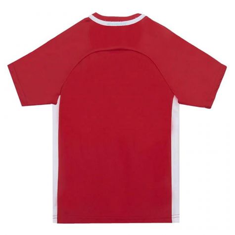 Denmark 2021 Polyester T-Shirt (Red) - Kids