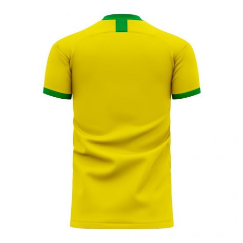 Aldosivi 2020-2021 Home Concept Football Kit (Libero) - Adult Long Sleeve