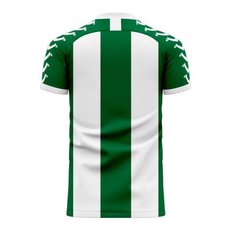 Banfield 2020-2021 Home Concept Football Kit (Viper)