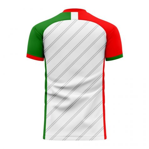 Belarus 2020-2021 Home Concept Football Kit (Libero) - Womens