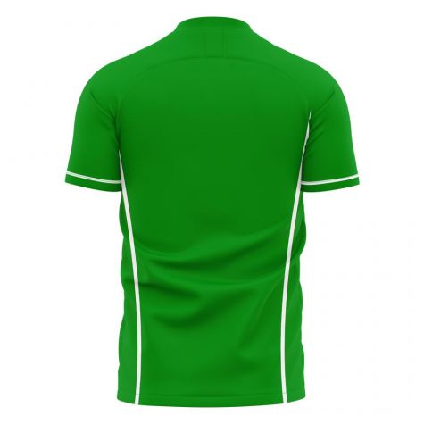 Chapecoense 2025-2026 Home Concept Football Kit (Libero)