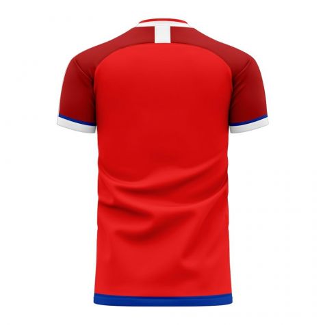 Czech Republic 2020-2021 Home Concept Football Kit (Libero)
