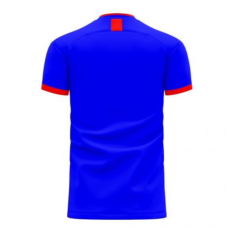 Japan 2020-2021 Home Concept Football Kit (Airo)