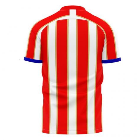 Liberia 2025-2026 Home Concept Football Kit (Libero) - Kids (Long Sleeve)
