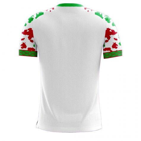 Myanmar 2025-2026 Home Concept Football Kit (Libero) - Adult Long Sleeve