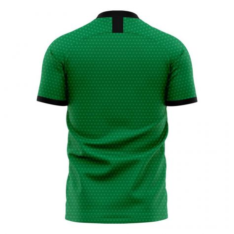 Nigeria 2023-2024 Home Concept Football Kit (Libero) (Your Name)