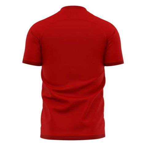 Nurnberg 2023-2024 Home Concept Football Kit (Libero) - Little Boys