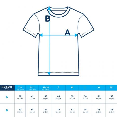 Argentina CA2021 WINNERS t-shirt LAUTARO, light blue