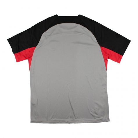 2022-2023 Barcelona CL Training Shirt (Grey) (FERRAN 11)
