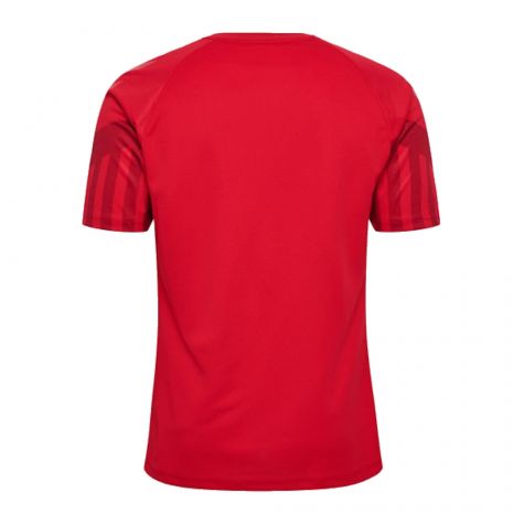 2022-2023 Denmark Home Jersey