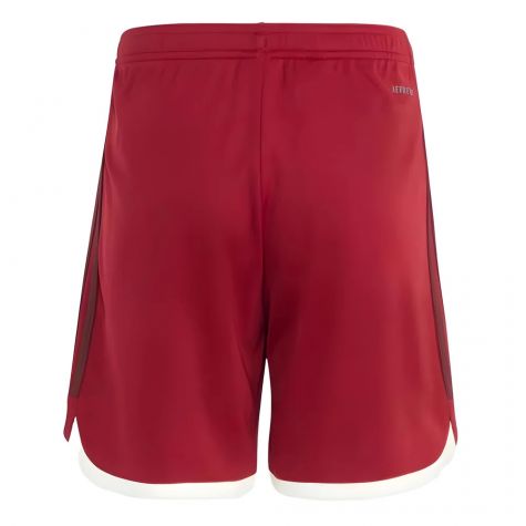 2023-2024 Bayern Munich Third Shorts (Red) - Kids