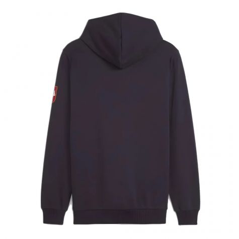 2024-2025 Serbia FtblIcons Hoody (Navy)