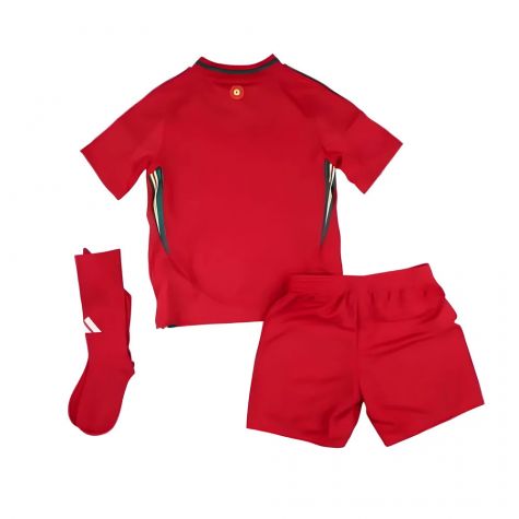 2024-2025 Wales Home Mini Kit (Your Name)