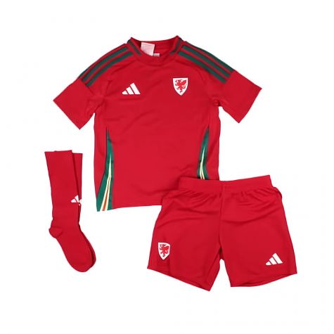 2024-2025 Wales Home Mini Kit (Your Name)