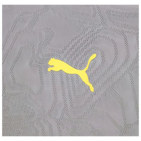 2024-2025 Racing Lens Training Shirt (Cast Iron)