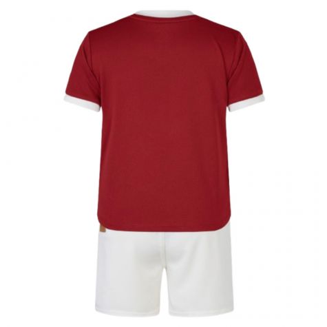 2024-2025 British and Irish Lions Home Rugby Mini Kit