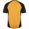 Airo Sportswear Player Training Tee (Amber-Black)