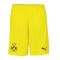 Borussia Dortmund 2018-2019 Home Shorts (Yellow)