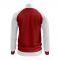 Denmark Concept Football Track Jacket (Red) - Kids