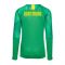 Borussia Dortmund 2019-2020 Home Goalkeeper Shirt (Green)