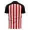 2023-2024 Sunderland Home Concept Football Shirt (Cattermole 6)