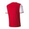 2020-2021 Austria Home Puma Football Shirt (ALABA 8)