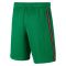 Portugal 2020-2021 Home Shorts (Green) - Kids