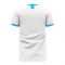 Argentina 2020-2021 Home Concept Football Kit (Libero)