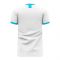 Argentina 2025-2026 Home Concept Football Kit (Libero)