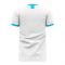 Argentina 2020-2021 Home Concept Football Kit (Libero) - Kids (Long Sleeve)