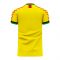 Guyana 2020-2021 Home Concept Football Kit (Viper)