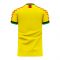 Guyana 2020-2021 Home Concept Football Kit (Viper)