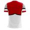 Palestine 2025-2026 Home Concept Football Kit (Libero)