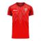 Serbia 2025-2026 Home Concept Football Kit (Libero) (Your Name)