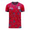 USA 2025-2026 Third Concept Football Kit (Libero) (PULISIC 10)