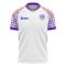 USA 2025-2026 Home Concept Football Kit (Libero) (PULISIC 10)