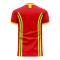 Wales 2024-2025 Home Concept Football Kit (Libero) (DAVIES 4)