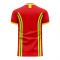 Wales 2024-2025 Home Concept Football Kit (Libero) (RUSH 9)