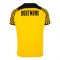 2021-2022 Borussia Dortmund Authentic Home Shirt