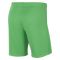 2021-2022 Liverpool Home Goalkeeper Shorts (Green)