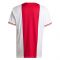 2022-2023 Ajax Home Shirt (ZEEMAN 17)