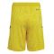 2022-2023 Arsenal Home Goalkeeper Shorts (Yellow)