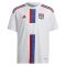 2022-2023 Olympique Lyon Home Shirt (Kids) (AOUAR 8)
