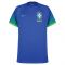 2022-2023 Brazil Away Shirt (PELE 10)